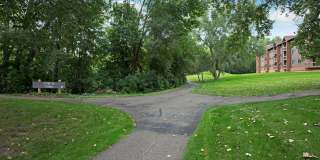 Park Pointe Gallery 18