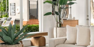 Coconut Palm Club Gallery 17