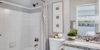 Alterra Apartments Gallery 6