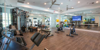 Alister Quincy Gallery 19