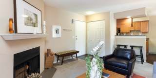 Concordia Apartments Gallery 3