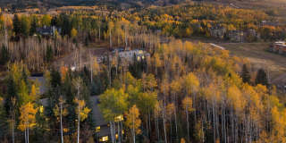 342 Ridge Road Gallery 40