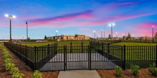 Apex Posner Park Gallery 15