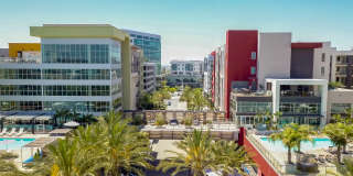 Vive on the Park Gallery 49