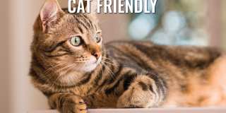 Strathmore Gallery 16