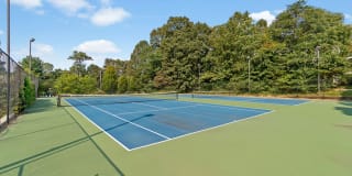 Ellipse at Fairfax Corner Gallery 23