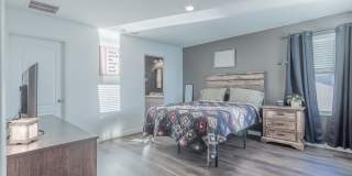 12634 CACAO TREE Trail Gallery 16