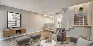 Buena Vista Gallery 8