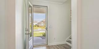 2664 Stellar Loop Gallery 4