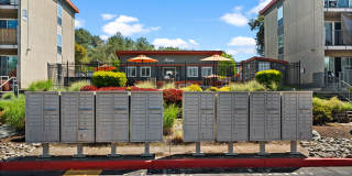 The Aviator apartments Gallery 63