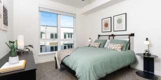 Alexan Main Street Gallery 27