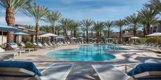 San Artes by Mark-Taylor Gallery 21