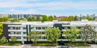 Burton Almont Gallery 1