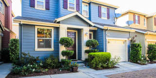 Beautiful and Spacious 3BR 2.5BA Single Family Home Gallery 17