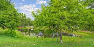 42 Via Largo Gallery 32