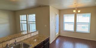 BC15556 Gallery 7