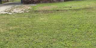 Three Bed/One BathHome/Freshly Painted/Fenced Yard Gallery 1