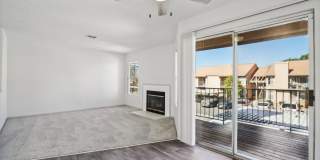 Desert Oasis Gallery 9