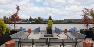 Chronicle Chronicle Gallery 51