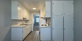 Summer Woods Gallery 3