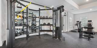 The Napier Gallery 16