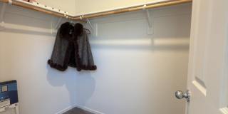 9774 Silver Dollar Lane Gallery 25
