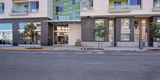 The Pacific Gallery 29