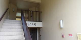 623 Sea Pine Way Gallery 5