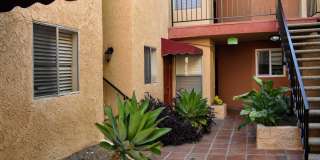 1010 Raleigh Apartments Gallery 8