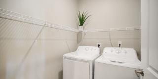 Springs at Westgate Gallery 49