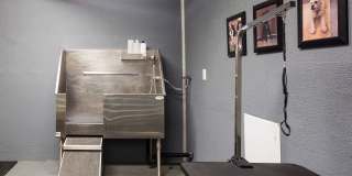 Yacht Harbor Club Gallery 12