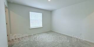 2003 Rabbitbrush Street Gallery 18