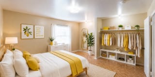 Raghu Gallery 5