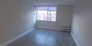 545 Centre St. Gallery 6