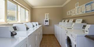 Elán Solana Pointe Gallery 6