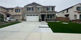 29565 Tulipwood Gallery 1