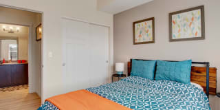 Element 170 Gallery 15