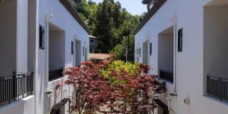 Vista Paradiso Gallery 9