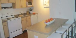 Humbucker Apartments Gallery 23