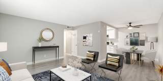 Monte Vista Gallery 13