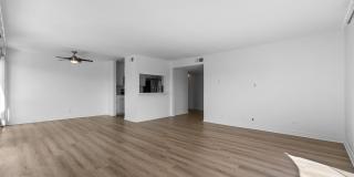 600 Olive Gallery 19