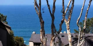 252 Dolphin Cove Ct Gallery 1