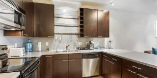 Blue and Lime Gallery 6