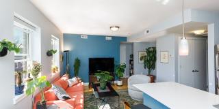 CoHi - Spacious One Bed Condo Gallery 5
