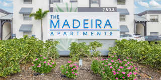 The Madeira Gallery 31