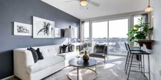 Apex Apartments Gallery 3
