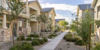 Ironwood at Happy Valley Gallery 35