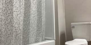 Super cute, newly renovated 3 bed, 1 bath home close to all things Downtown Salisbury Gallery 1