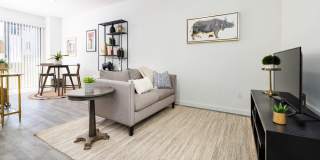 The Access Gallery 21