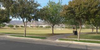 Gorgeous 4 bedroom home in amenity rich Verrado! Gallery 24